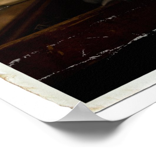 Hedwig 3 poster (Ecke)