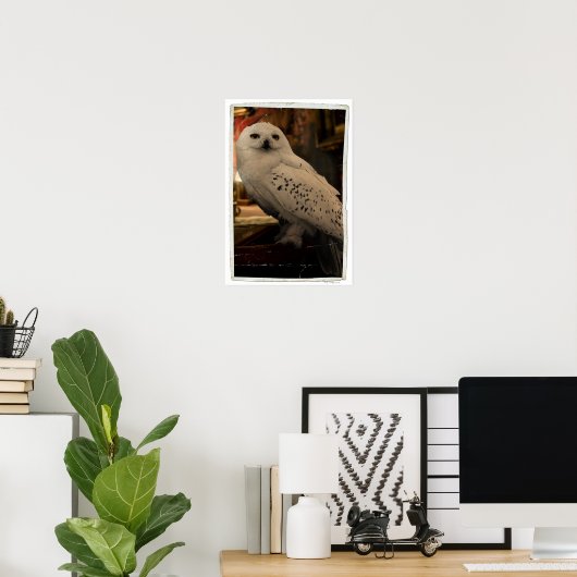 Hedwig 3 poster (Heimbüro)