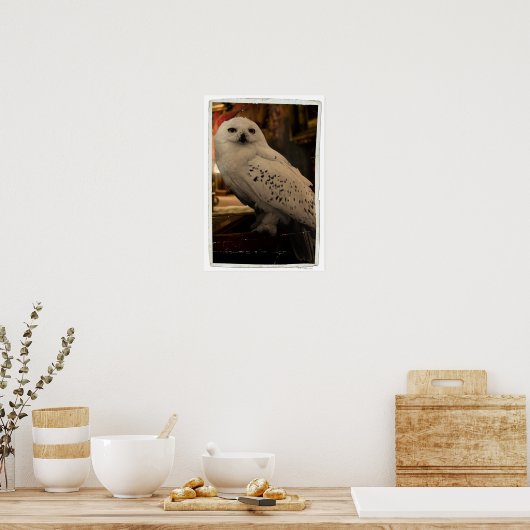 Hedwig 3 poster (Küche)