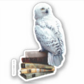 Hedwig auf Bücher Aufkleber (Vorderseite)