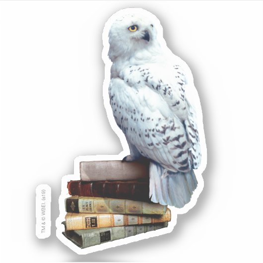 Hedwig auf Bücher Aufkleber (Vorderseite)