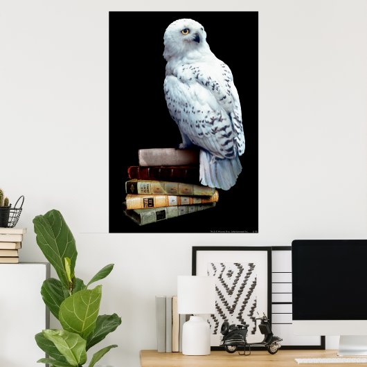 Hedwig auf Bücher Poster (Heimbüro)