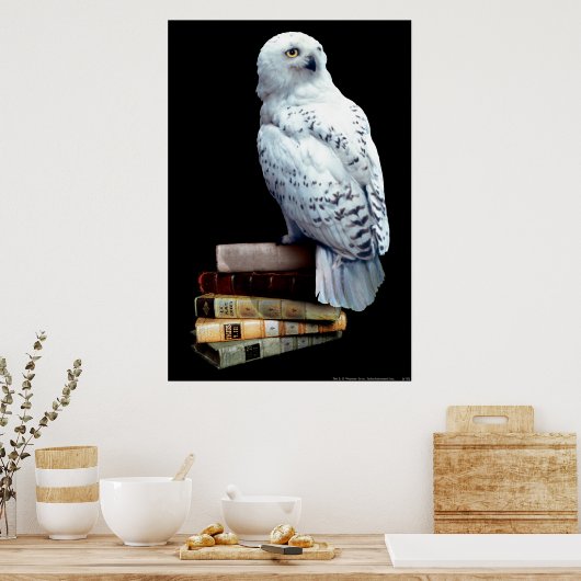 Hedwig auf Bücher Poster (Küche)