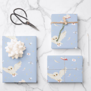 Hedwig Eulenpost Briefe und Bücher Muster Geschenkpapier Set