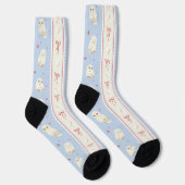 Hedwig-Eulenpost-Streifenmuster Socken (Rechts)