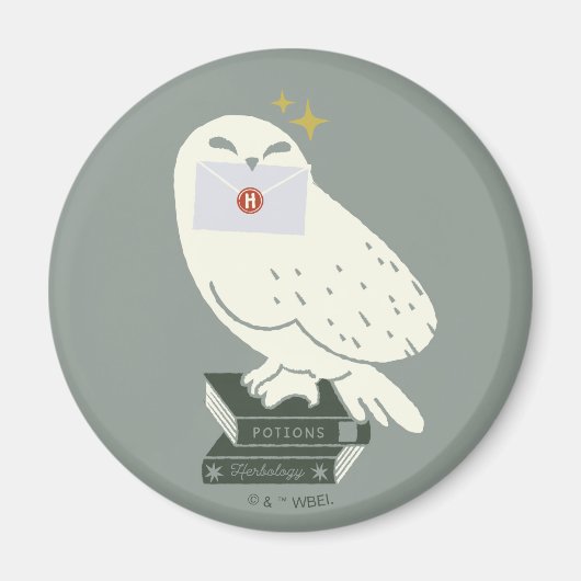 Hedwig mit Brief Skurrile Zeichnung Magnet (Vorne)