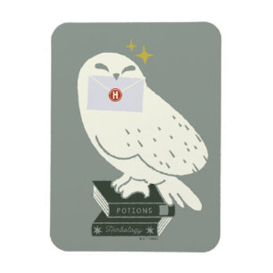 Hedwig mit Brief Skurrile Zeichnung Magnet