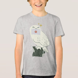 Hedwig mit Brief Skurrile Zeichnung Tri-Blend Shirt
