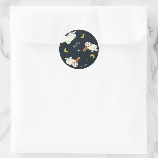 Hedwig Nighttime Moonlight Pattern Runder Aufkleber (Tasche)
