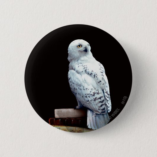 Hedwig on books button (Vorderseite)