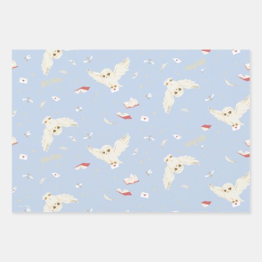 Hedwig Owl Post Letters and Books Pattern Geschenkpapier Set (Vorderseite 2)