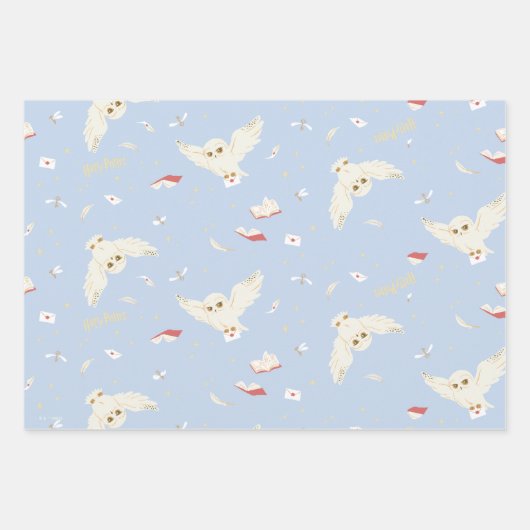 Hedwig Owl Post Letters and Books Pattern Geschenkpapier Set (Vorderseite)