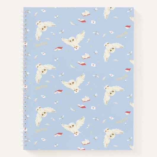 Hedwig Owl Post Letters and Books Pattern Notizblock (Vorderseite)