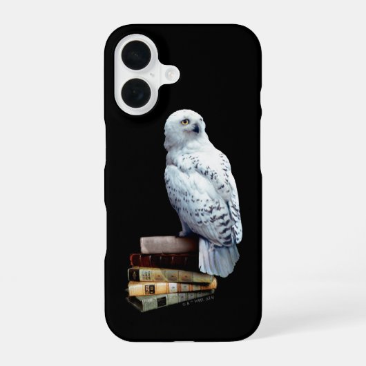 Hedwig über Bücher iPhone 16 Hülle (Rückseite)