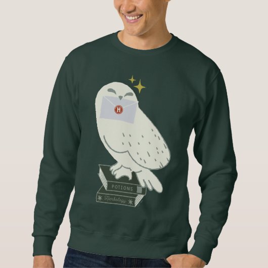 Hedwig With Letter Whimsical Drawing Sweatshirt (Vorderseite)