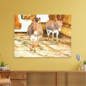 Hee Haw Donkeys Leinwanddruck (Insitu (Wohnzimmer))