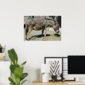 HeeHaw Poster (Heimbüro)