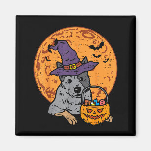 Heeler Hexenhut Mond Jack O Lantern Halloween Magnet