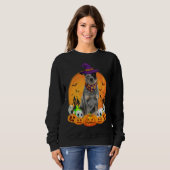Heeler Witch Pumpkin Halloween Dog Sweatshirt (Vorne ganz)
