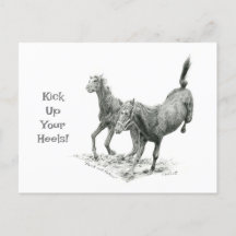 Heelse beim Postüberqueren der Postkarte aufheben