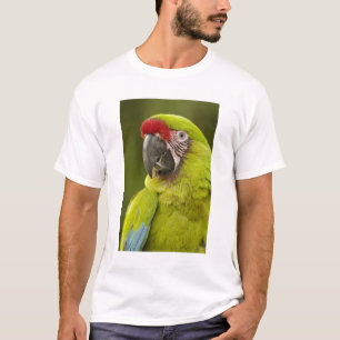 Heer-Ara T-Shirt