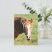 Heeya, was ist los doc postkarte (Stehend Vorderseite)