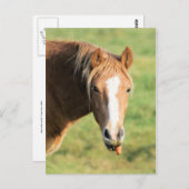 Heeya, was ist los doc postkarte (Vorne/Hinten)