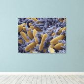 Hefen und Bakterien in Kefiermilch Leinwanddruck (Insitu (Holzboden))