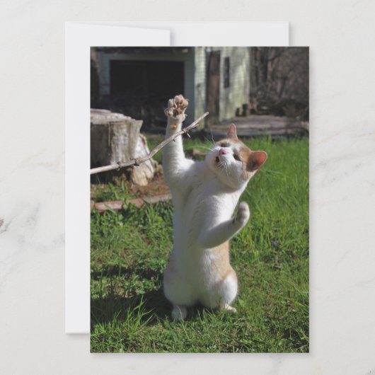 Heftiger Fleischfresser Einladung (Vorderseite)