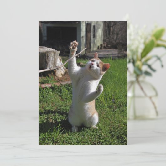 Heftiger Fleischfresser Einladung (Stehend Vorderseite)