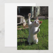 Heftiger Fleischfresser Einladung (Vorne/Hinten)