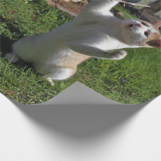 Heftiger Fleischfresser Geschenkpapier (Ecke)