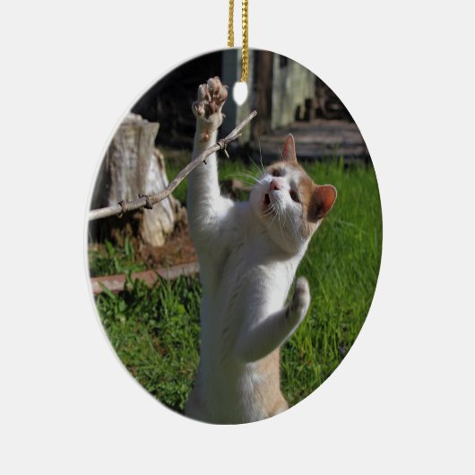 Heftiger Fleischfresser Keramik Ornament (Rechts)