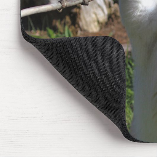 Heftiger Fleischfresser Mousepad (Ecke)