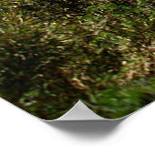 HeHuan Mountain, Taroko National Park, Taiwan © Poster (Ecke)