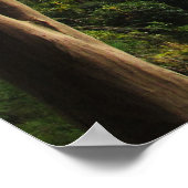 Heian Shrine Garden Poster (Ecke)