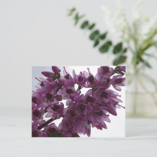 Heide Blume Nah DIY Postkarte (Stehend Vorderseite)