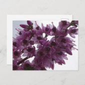 Heide Blume Nah DIY Postkarte (Vorne/Hinten)