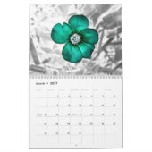 Heide Harty Fotografie Kalender (Mär 2027)