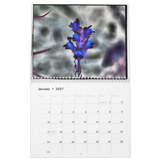 Heide Harty Fotografie Kalender (Jan 2027)