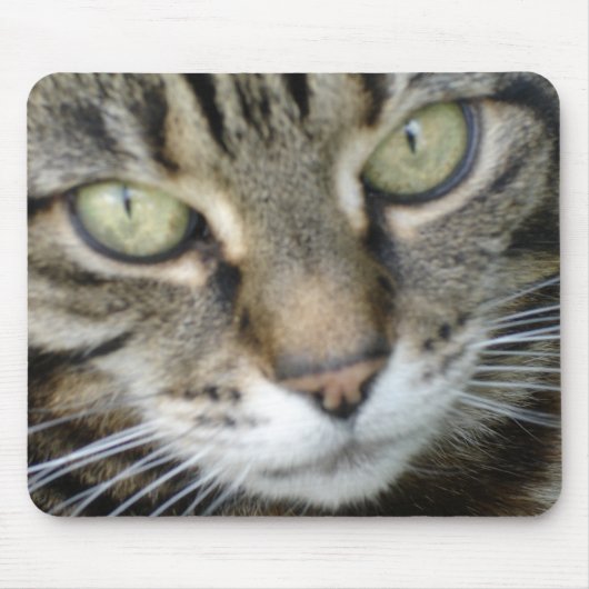 Heide-Katzen-Mäusematte Mousepad (Vorne)