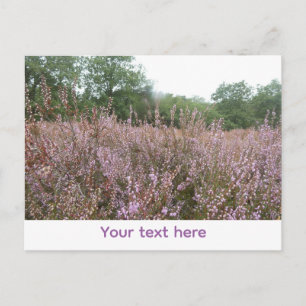 Heide-Landschaft DIY-Postkarte Feiertagspostkarte