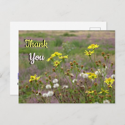 Heide und weiße gelbe Blumen DANKEN SIE Postcard Postkarte (Vorne/Hinten)