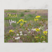 Heide und weiße gelbe Blumen DANKEN SIE Postcard Postkarte (Vorderseite)