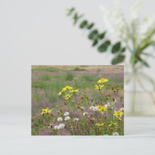 Heide und weiße gelbe Blumen DIKTE Postkarte (Stehend Vorderseite)