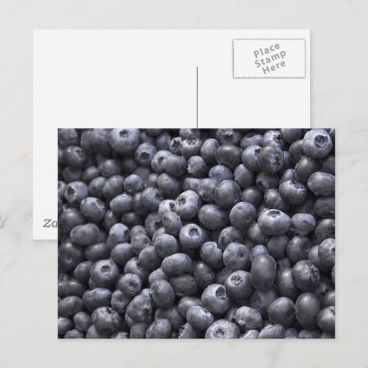 Heidelbeeren, frisch postkarte (Vorne/Hinten)