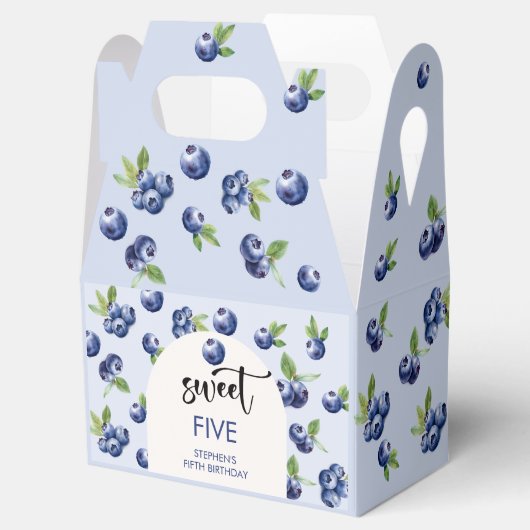 Heidelbeeren-Kindergeburtstag Geschenkschachtel (Geöffnet)