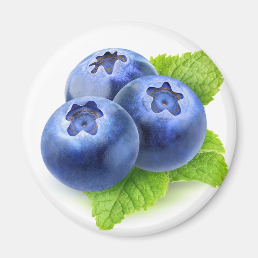 Heidelbeeren und Minze Magnet (Vorne)
