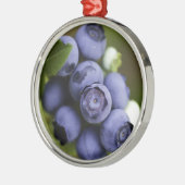 Heidelbeerfreund Silbernes Ornament (Links)