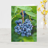 Heidelbeergeburt Karte (Gelbe Blume)